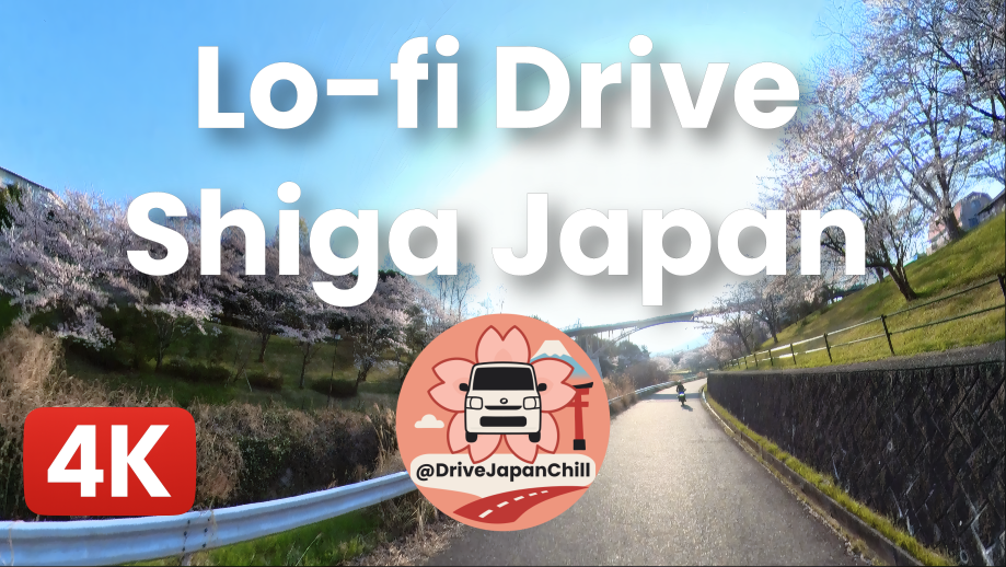 Scenic cherry blossom-lined road inviting a spring drive through Japan in 4K